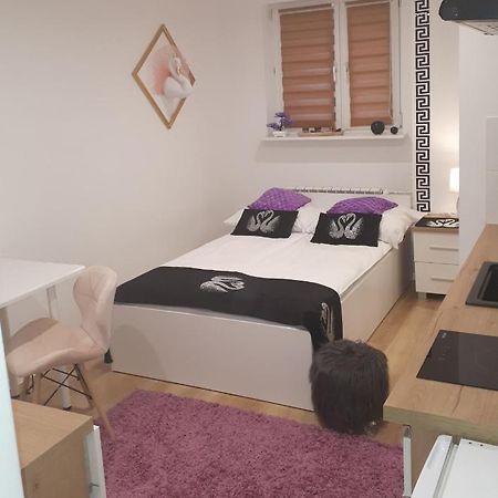 Apartamenty Centrum Panoramiczna Mala Dwojka Swan Labedz Promenada Klimatyzacja Lodowa Кельце Экстерьер фото
