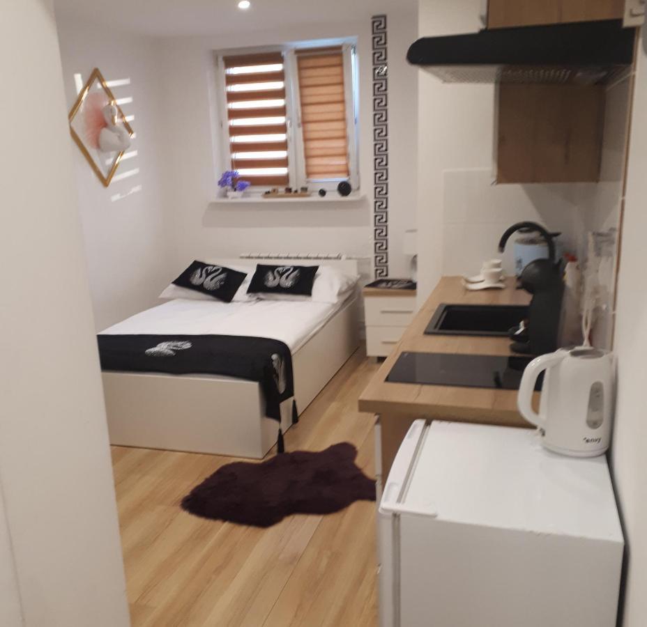 Apartamenty Centrum Panoramiczna Mala Dwojka Swan Labedz Promenada Klimatyzacja Lodowa Кельце Экстерьер фото