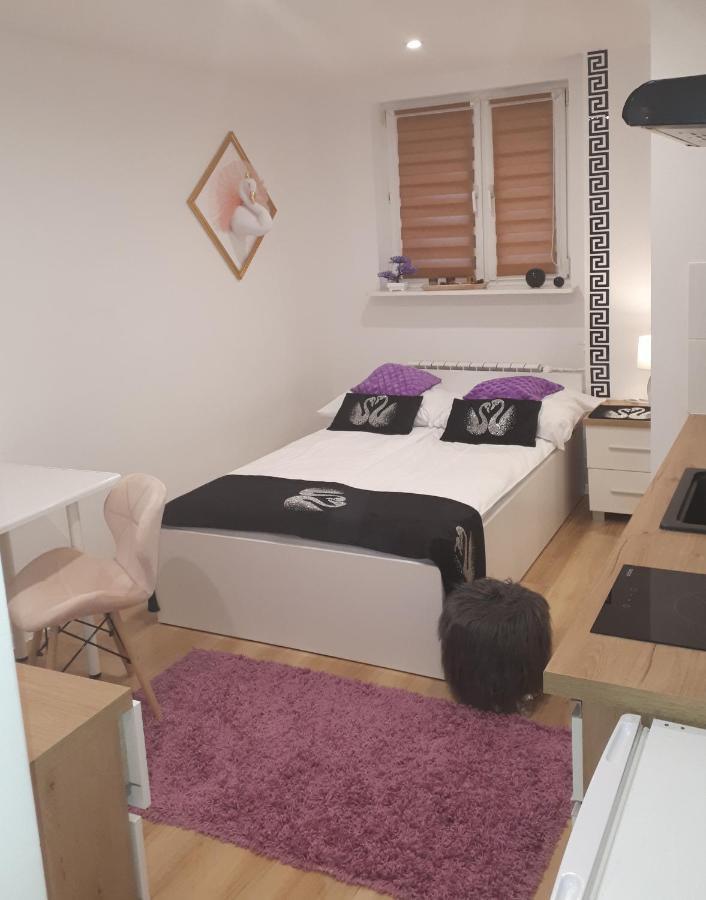 Apartamenty Centrum Panoramiczna Mala Dwojka Swan Labedz Promenada Klimatyzacja Lodowa Кельце Экстерьер фото
