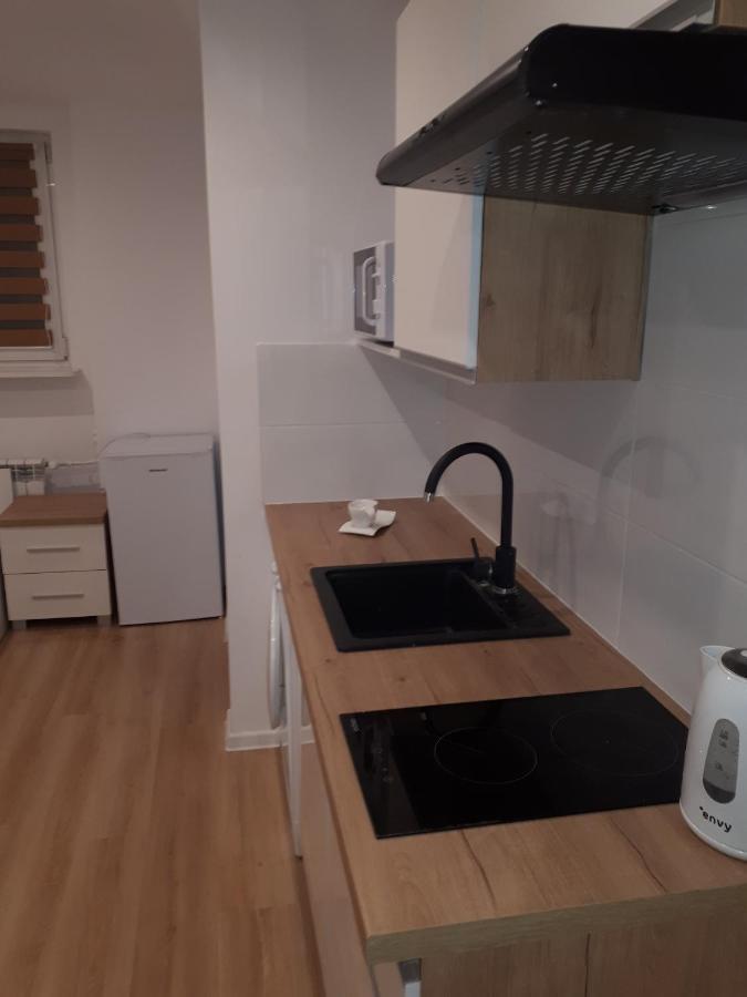Apartamenty Centrum Panoramiczna Mala Dwojka Swan Labedz Promenada Klimatyzacja Lodowa Кельце Экстерьер фото